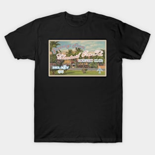 Chemtrails Postcard - Lana Del Rey (design 2) T-Shirt